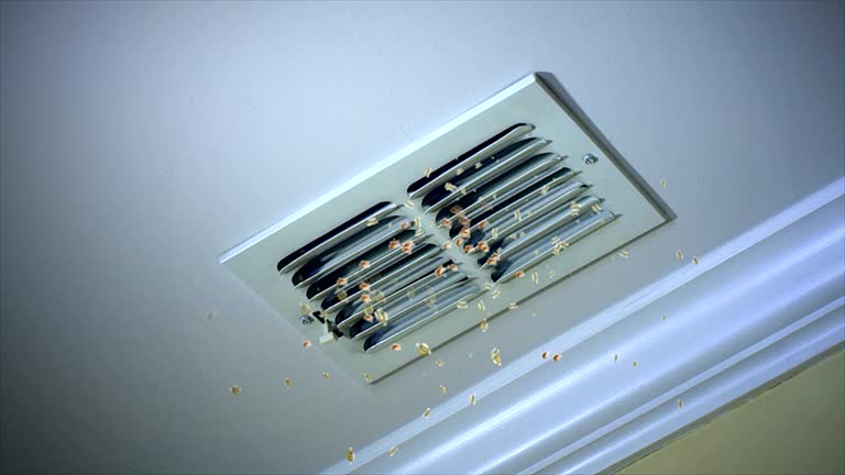 Best Best Air Duct Cleaning Near Me  in Flence, OR